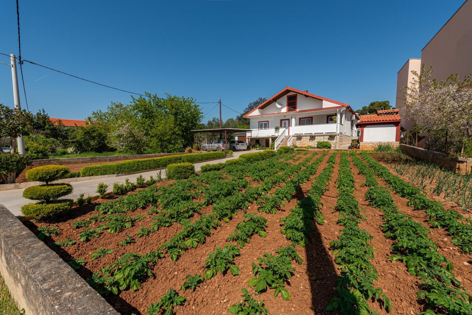 Floyd Apartment Bibinje Exterior photo